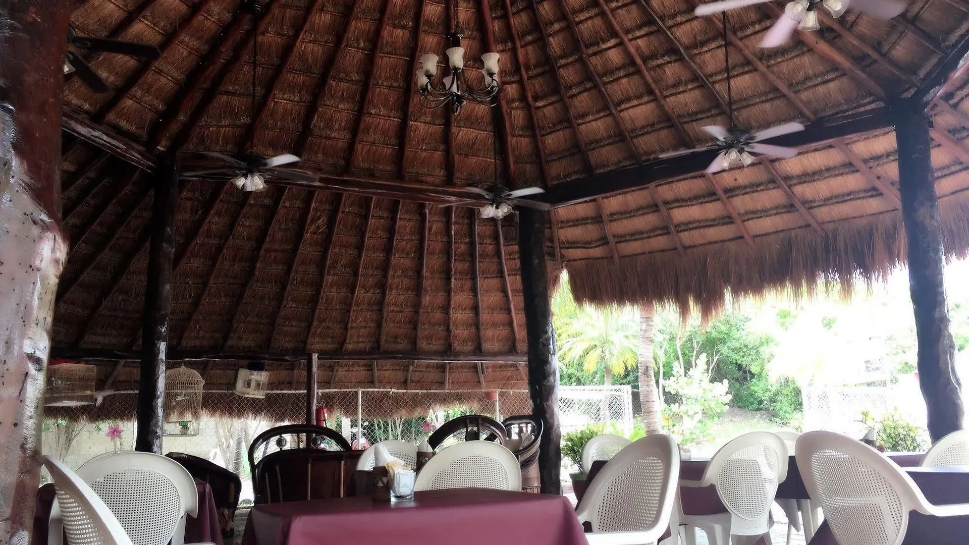 Villas Coco Resort - All Suites (Adults Only) Isla Mujeres Meksika