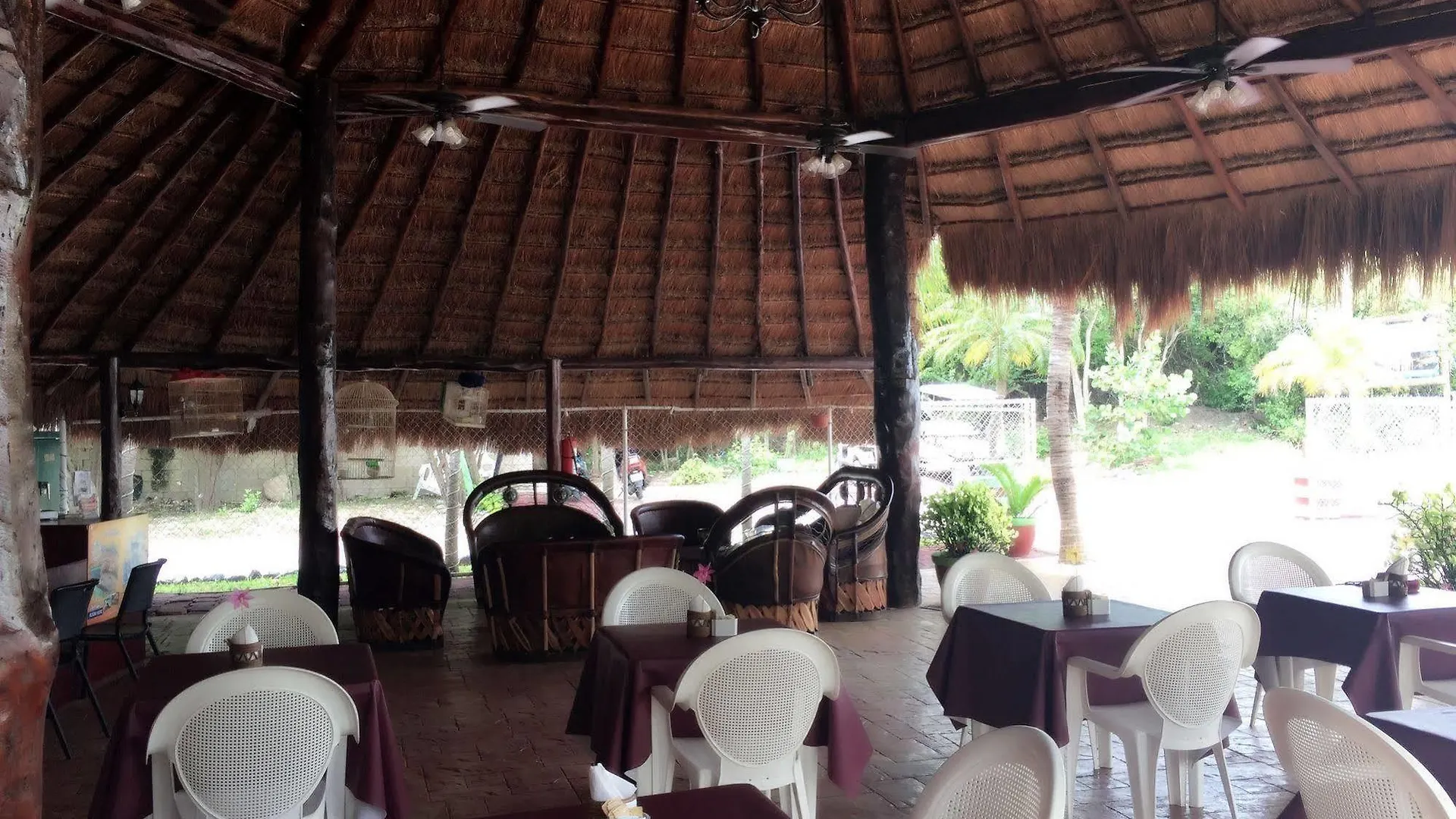 Villas Coco Resort - All Suites Isla Mujeres