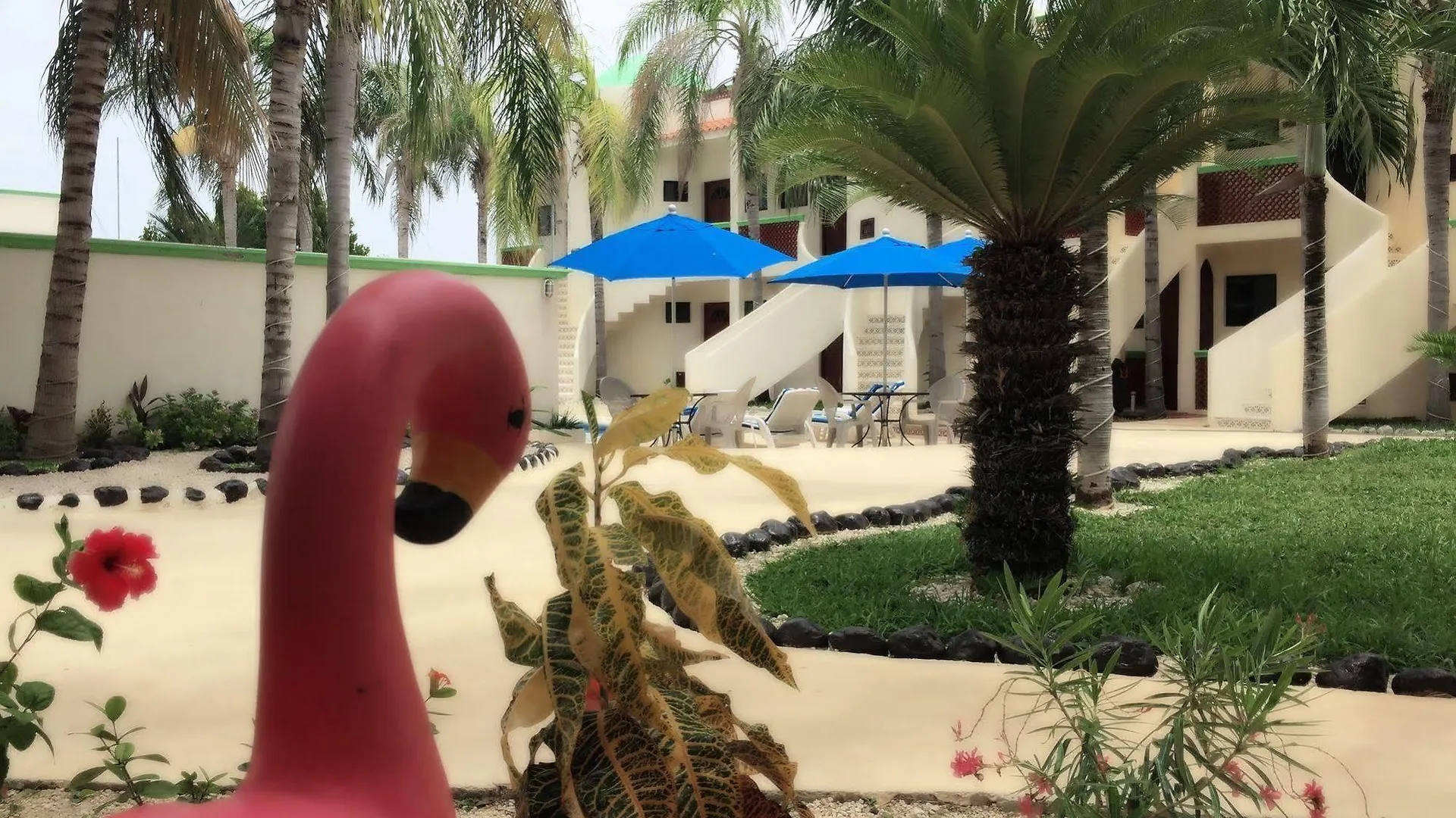 Villas Coco Resort - All Suites Isla Mujeres