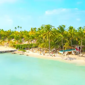 Mayan Monkey - Social (adults Only) **** Isla Mujeres